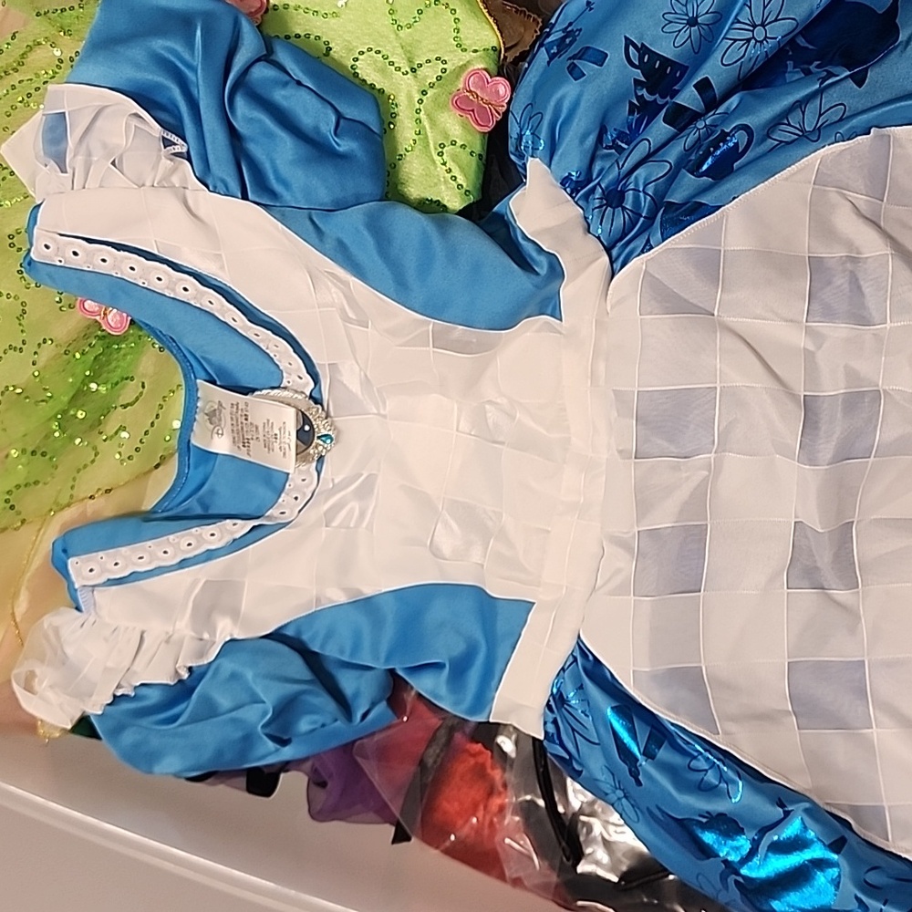Disney  Dorthy wizard of oz Costume  with the Toto Basket